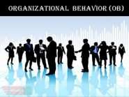 باور رفتار سازمانی