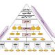 مدل های سازمانی در ساختار هلدینگ