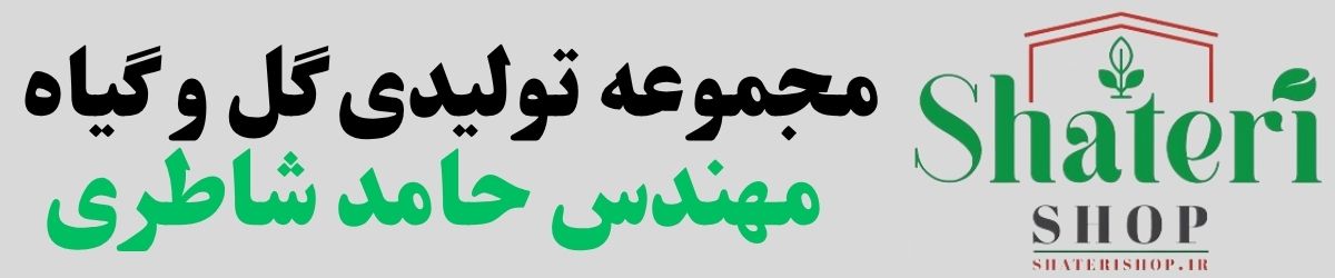 گلخانه شاطری